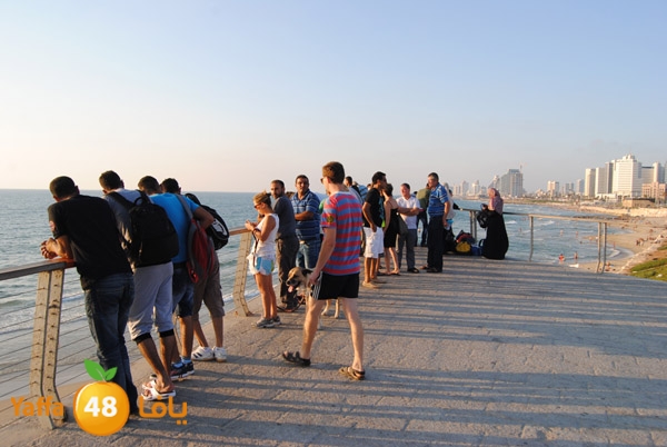 fallen from above 811 (15).JPG